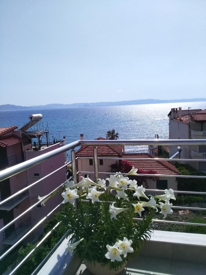 Alkioni'S Nest Apartments Arkoudi Exterior photo